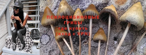 PSILOCYBIN Володарск